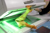 Take Your Rubber Chicken to Work Week