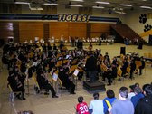 Tiger Jam IV