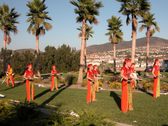 Enlarge photo 11