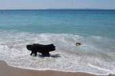 Enlarge photo 14