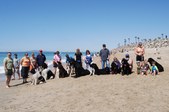 Walk on the Beach