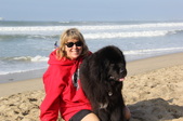 Enlarge photo 16