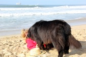 Enlarge photo 19