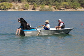 Enlarge photo 16
