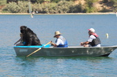 Enlarge photo 18