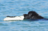 Enlarge photo 14