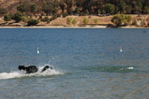 Water Test @ Castaic Katie & Sabastain