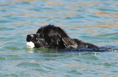 Enlarge photo 3