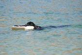 Enlarge photo 16