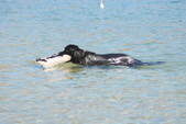 Enlarge photo 18