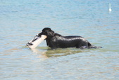 Enlarge photo 19