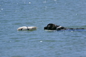 Enlarge photo 2