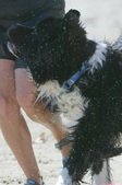 Enlarge photo 23