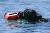 Enlarge photo 17