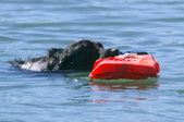 Enlarge photo 20
