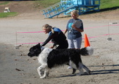 Enlarge photo 3