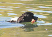 Enlarge photo 15