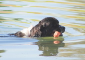 Enlarge photo 16