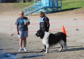 Enlarge photo 24