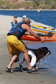 Enlarge photo 21