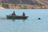 Enlarge photo 19