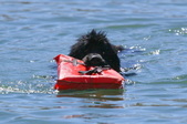 Water Test @ Castaic Sea-Leste & McKenna