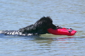 Enlarge photo 13