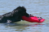 Enlarge photo 14