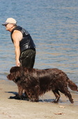 Enlarge photo 21