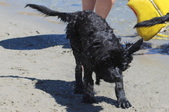 Enlarge photo 2