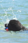 Enlarge photo 17