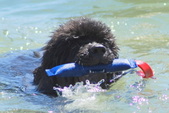 Enlarge photo 22