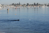 Water Test @ Coronado 9-26-10