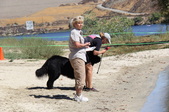 Enlarge photo 12