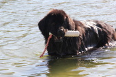 Enlarge photo 4