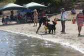 Enlarge photo 19