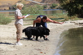 Enlarge photo 7