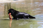Enlarge photo 18