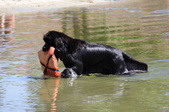 Enlarge photo 19