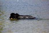 Enlarge photo 19