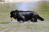 Enlarge photo 23
