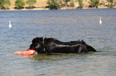 Enlarge photo 12