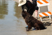 Enlarge photo 24