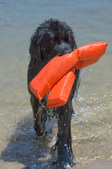 Water Training @ Castaic Lake 7-26-10