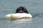 Enlarge photo 2