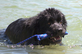 Enlarge photo 13