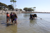 Enlarge photo 24