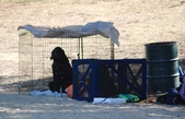 Enlarge photo 22