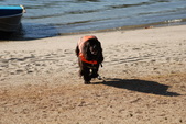 Enlarge photo 5
