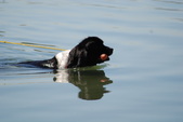 Enlarge photo 13